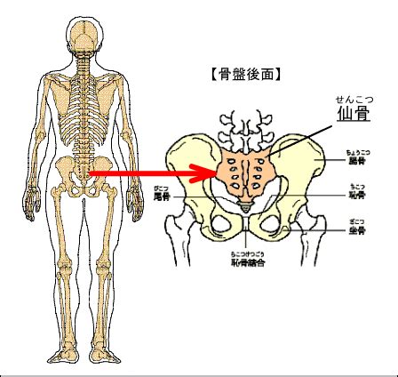 仙骨八字|身上有佛骨、仙骨？命帶佛骨、仙骨的四個典型特點介紹與化解方。